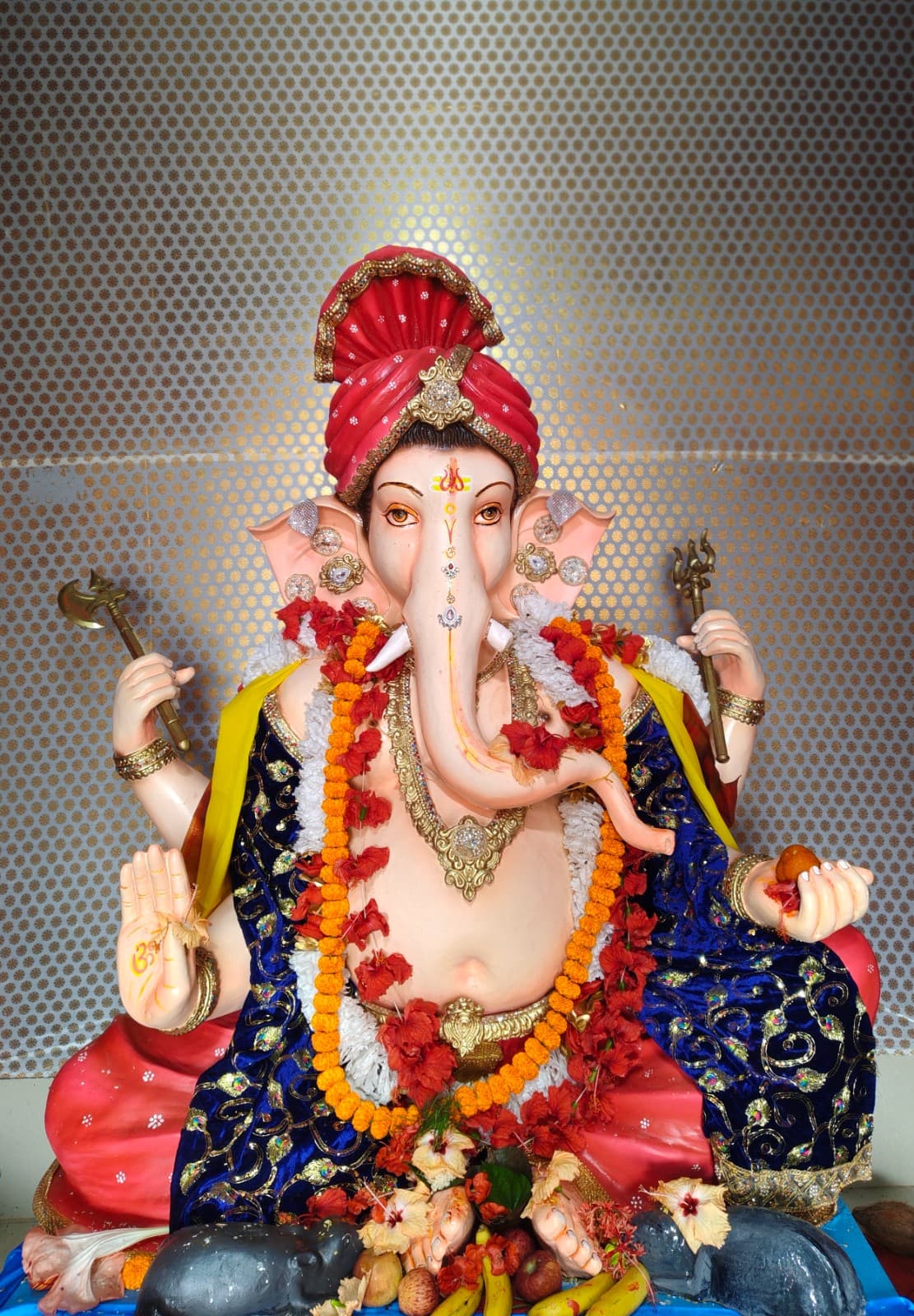 युवा समिति परचनपाल